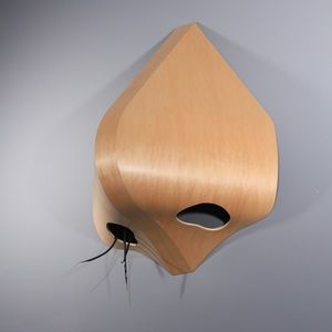 Meet your Posher, Nathaniel